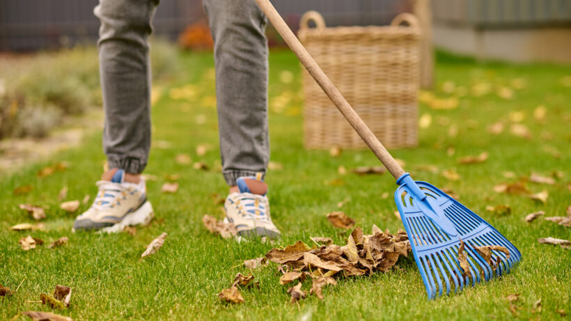 deep cleaning services-Kochi The Luxury Sweep